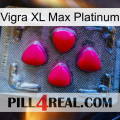 Vigra Xl Max Platinum 13